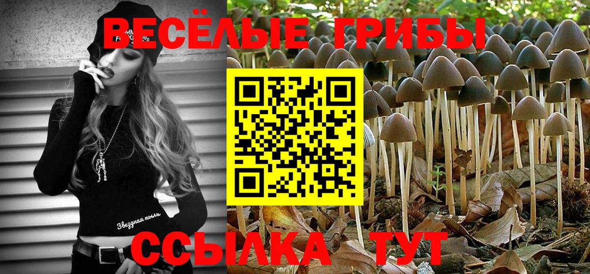 Псилоцибиновые грибы прущие грибы  Вход с VPN  Шатура  Псилоцибиновые грибы ЛСД 